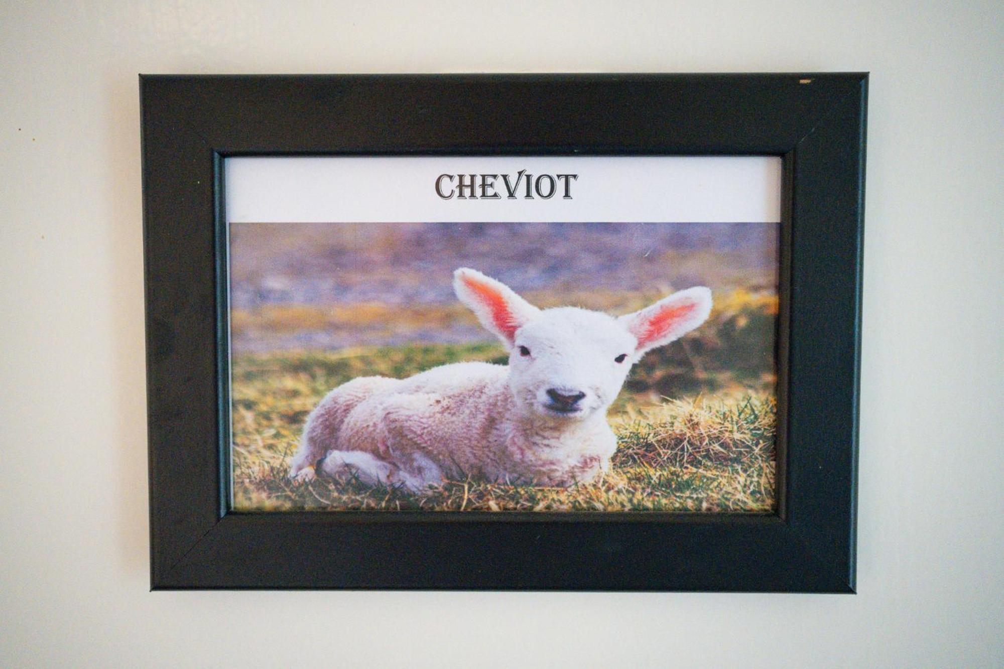 The Shepherds Inn, Langwathby Dış mekan fotoğraf